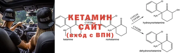дмт Нея