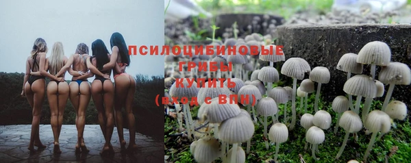 mdpv Нефтекумск