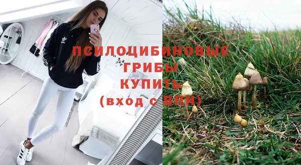 mdpv Нефтекумск